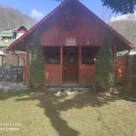 Pensiunea Catalina Guest house