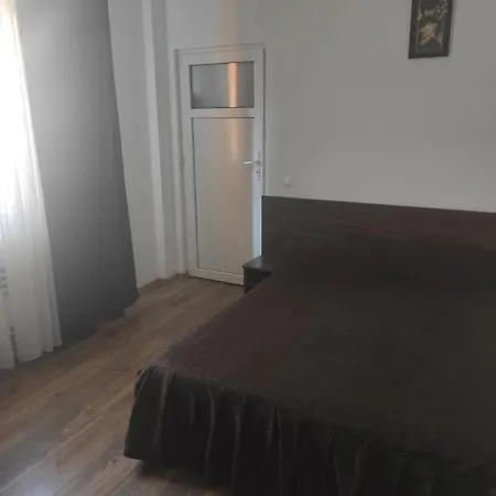 Pensiunea Catalina Guest house Busteni