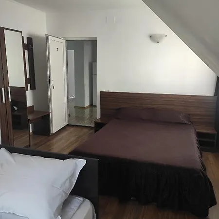 Pensiunea Catalina Guest house
